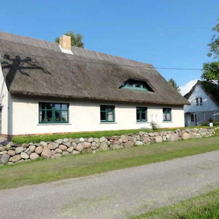 Reetdachhaus "Landhaus Ulrich" Lubkow Exteriör bild